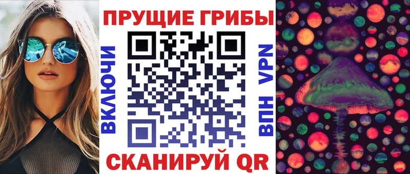 Купить  Курлово  Галлюциногенные грибы мухоморы 